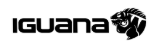 Iguana